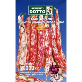 SEMI DI FAGIOLO NANO LINGUA DI FUOCO KG. 1 SEMI DI FAGIOLO NANO LINGUA DI FUOCO KG. 1
