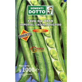SEMI DI FAVA DA SEME IMPERIAL GREEN LONGPOD KG. 1 SEMI DI FAVA DA SEME IMPERIAL GREEN LONGPOD KG. 1
