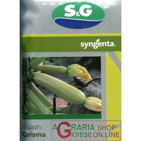 SEMI DI ZUCCHINO HF1 CARISMA DA 20 SEMI SEMI DI ZUCCHINO HF1 CARISMA DA 20 SEMI