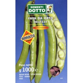 SEMI DI FAVA PRECOCISSIMA GRANO BIANCO SEMI IN SCATOLA KG. 1 SEMI DI FAVA PRECOCISSIMA GRANO BIANCO SEMI IN SCATOLA KG. 1