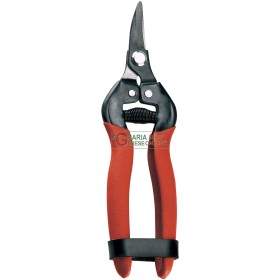 FORBICI PER UVA ARANCE MANDARINI LAME CURVE PROFESSIONALE FORBICI PER UVA ARANCE MANDARINI LAME CURVE PROFESSIONALE