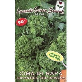 SEMI DI CIME DI RAPA 90 GG. GR. 500 SEMI DI CIME DI RAPA 90 GG. GR. 500