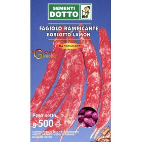 SEMI DI FAGIOLO BORLOTTO RAMPICANTE LAMON GR. 500 SEMI DI FAGIOLO BORLOTTO RAMPICANTE LAMON GR. 500