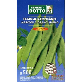 SEMI DI FAGIOLO RAMPICANTE MARCONI SEME BIANCO GR. 500 SEMI DI FAGIOLO RAMPICANTE MARCONI SEME BIANCO GR. 500