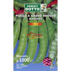 SEMI DI PISELLO MEZZA RAMA SENATORE KG. 1 SEMI DI PISELLO MEZZA RAMA SENATORE KG. 1