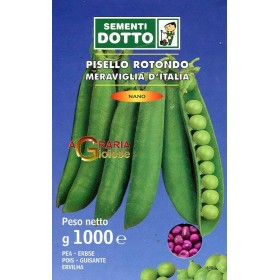 SEMI DI PISELLO NANO MERAVIGLIA DI ITALIA KG. 1 SEMI DI PISELLO NANO MERAVIGLIA DI ITALIA KG. 1