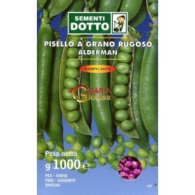 SEMI DI PISELLO RAMPICANTE ALDERMAN KG. 1 SEMI DI PISELLO RAMPICANTE ALDERMAN KG. 1