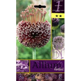 BULBI DI FIORE ALLIUM FORELOCK N. 1 BULBI DI FIORE ALLIUM FORELOCK N. 1