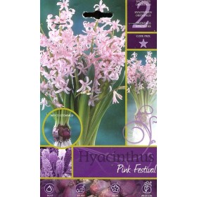 BULBI DI FIORE HYACINTHUS PINK FESTIVAL N. 2 BULBI DI FIORE HYACINTHUS PINK FESTIVAL N. 2