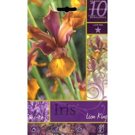 BULBI DI FIORE IRIS LION KING N. 10 BULBI DI FIORE IRIS LION KING N. 10