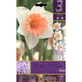 BULBI DI FIORE NARCISSUS FAITH N. 3 BULBI DI FIORE NARCISSUS FAITH N. 3