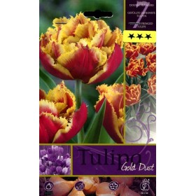 BULBI DI FIORE TULIPA GOLD DUST N. 7 BULBI DI FIORE TULIPA GOLD DUST N. 7