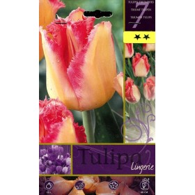 BULBI DI FIORE TULIPA LINGERIE N. 7 BULBI DI FIORE TULIPA LINGERIE N. 7