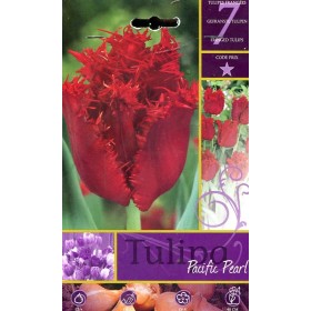 BULBI DI FIORE TULIPA PACIFIC PEARL N. 7 BULBI DI FIORE TULIPA PACIFIC PEARL N. 7