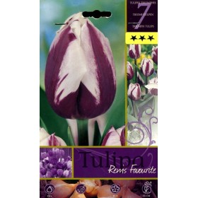 BULBI DI FIORE TULIPA RENIS FOVOURITE N. 7 BULBI DI FIORE TULIPA RENIS FOVOURITE N. 7