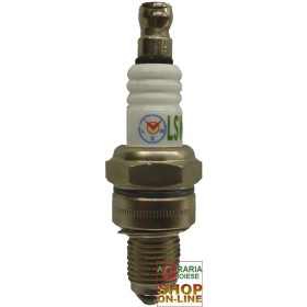 CANDELA PER DECESPUGLIATORE 4 TEMPI BC358 CANDELA PER DECESPUGLIATORE 4 TEMPI BC358