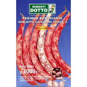 SEMI DI FAGIOLO BORLOTTO RAMPICANTE LINGUA DI FUOCO GR. 500 SEMI DI FAGIOLO BORLOTTO RAMPICANTE LINGUA DI FUOCO GR. 500