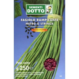 SEMI DI FAGIOLO RAMPICANTE METRO STRINGA GR. 250 SEMI DI FAGIOLO METRO STRINGA RAMPICANTE GR. 250