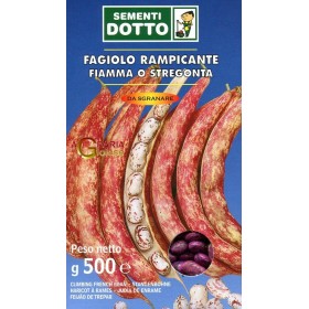 SEMI DI FAGIOLO RAMPICANTE FIAMMA O STREGONTA GR. 500 SEMI DI FAGIOLO RAMPICANTE FIAMMA O STREGONTA GR. 500