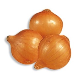 BULBI DI CIPOLLA STOCCARDA 21/24 KG. 1 BULBI DI CIPOLLA STOCCARDA 21/24 KG. 1