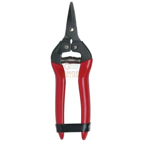 FORBICE PER RACCOLTA MANDARINI ARANCE LIMONI AGRUMI LAME CURVE CM. 16 FORBICE PER RACCOLTA MANDARINI ARANCE LIMONI AGRUMI LAME CURVE