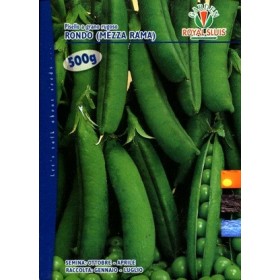 PISELLO GR. 500 RONDO S ROYAL SEED PISELLO GR. 500 RONDO S ROYAL SEED