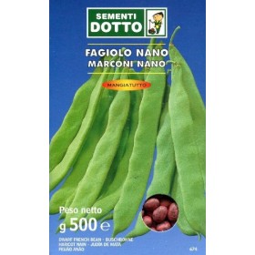 SEMI DI FAGIOLO NANO MARCONI SEME NERO GR. 500 SEMI DI FAGIOLO NANO MARCONI SEME NERO GR. 500