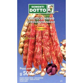 SEMI DI FAGIOLO NANO STREGONTA GR. 500 SEMI DI FAGIOLO NANO STREGONTA GR. 500