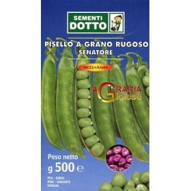 SEMI DI PISELLO MEZZA RAMA SENATORE GR. 500 SEMI DI PISELLO MEZZA RAMA SENATORE GR. 500