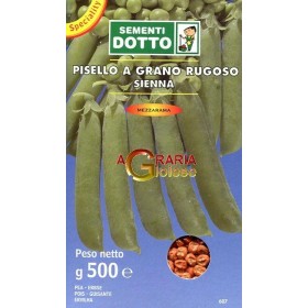 SEMI DI PISELLO MEZZA RAMA SIENNA GR. 500 SEMI DI PISELLO MEZZA RAMA SIENNA GR. 500