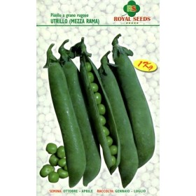 SEMI DI PISELLO MEZZA RAMAUTRILLO GRANO RUGOSO GR.500 SEMI DI PISELLO UTRILLO GRANO RUGOSO GR.500