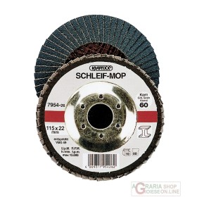 Einhell Disco abrasivo 115 GR 40 Einhell Disco abrasivo 115 GR 40