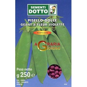 PISELLO GR. 250 RAMPICANTE GEANT A FLEUR VIOLETTE PISELLO GR. 250 RAMPICANTE GEANT A FLEUR VIOLETTE