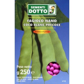 SEMI DI FAGIOLO COCO BIANCO PRECOCE NANO GR. 250 SEMI DI FAGIOLO COCO BIANCO PRECOCE NANO GR. 250