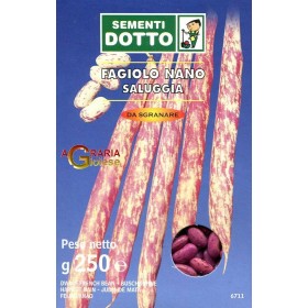 SEMI DI FAGIOLO NANO SALUGGIA GR. 250 SEMI DI FAGIOLO NANO SALUGGIA GR. 250