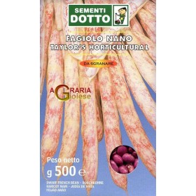 SEMI DI FAGIOLO NANO TAYLORS HORTICULTURAL GR. 500 SEMI DI FAGIOLO NANO TAYLORS HORTICULTURAL GR. 500