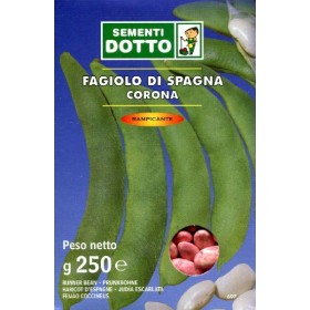 SEMI DI FAGIOLO RAMPICANTE BIANCO DI SPAGNA GR. 250 SEMI DI FAGIOLO RAMPICANTE BIANCO DI SPAGNA GR. 250