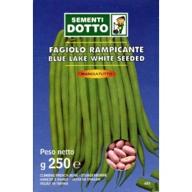 SEMI DI FAGIOLO RAMPICANTE BLUE LAKE SEME BIANCO GR. 250 SEMI DI FAGIOLO RAMPICANTE BLUE LAKE SEME BIANCO GR. 250