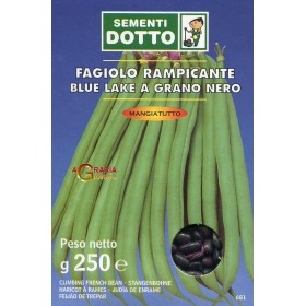 SEMI DI FAGIOLO RAMPICANTE BLUE LAKE SEME NERO GR. 250 SEMI DI FAGIOLO RAMPICANTE BLUE LAKE SEME NERO GR. 250