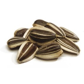 SEMI DI GIRASOLE STRIATO MEDIO PER UCCELLI E PAPPAGALLI KG. 1 SEMI DI GIRASOLE STRIATO MEDIO PER UCCELLI E PAPPAGALLI KG. 1