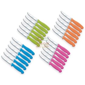 MAX SET 6 COLTELLI TAVOLA -4 COL.ASS. MAX SET 6 COLTELLI TAVOLA -4 COL.ASS.