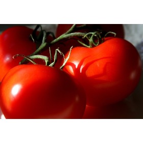 POMODORO TONDO LISCIO EMPIRE PIANTA DETERMINATA VASCHETTA DA 12 PIANTINE POMODORO TONDO LISCIO EMPIRE PIANTA DETERMINATA VASCHETTA DA 12
