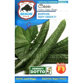 BISON SEMI DI CETRIOLO BURPLESS TASTY GREEN IBRIDO F1 BISON SEMI DI CETRIOLO BURPLESS TASTY GREEN IBRIDO F1