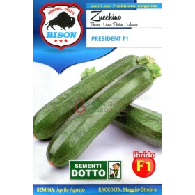 BISON SEMI DI ZUCCHINO PRESIDENT IBRIDO F1 BISON SEMI DI ZUCCHINO PRESIDENT IBRIDO F1