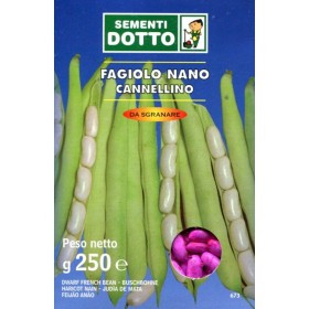 SEMI DI FAGIOLO NANO CANNELLINO GR. 250 SEMI DI FAGIOLO NANO CANNELLINO GR. 250