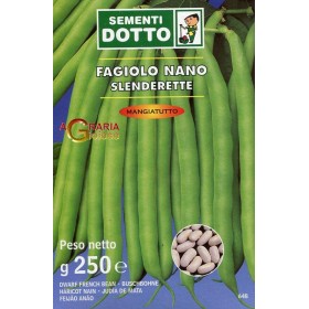 SEMI DI FAGIOLO NANO SLENDERETTE GR. 250 SEMI DI FAGIOLO NANO SLENDERETTE GR. 250