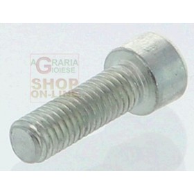 VITE PER SDRAMATORE JET-SKY GZ325 VITE PER SDRAMATORE JET-SKY GZ325