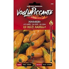 VOGLIA PICCANTE SEMI DI PEPERONCINO PICCANTE AJI DULCE AMARILLO VOGLIA PICCANTE SEMI DI PEPERONCINO PICCANTE AJI DULCE AMARILLO