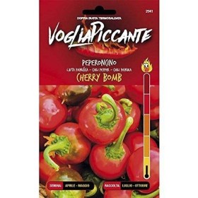 VOGLIA PICCANTE SEMI DI PEPERONCINO PICCANTE CHERRY BOMB VOGLIA PICCANTE SEMI DI PEPERONCINO PICCANTE CHERRY BOMB