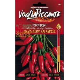 VOGLIA PICCANTE SEMI DI PEPERONCINO PICCANTE DIAVOLICCHIO CALABRESE VOGLIA PICCANTE SEMI DI PEPERONCINO PICCANTE DIAVOLICCHIO